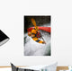 Boy Kayaking Wall Mural