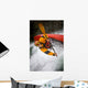 Boy Kayaking Wall Mural