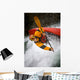 Boy Kayaking Wall Mural