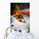 Boy Kayaking Wall Mural
