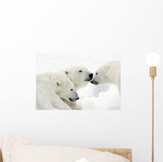 Polar Bears Wall Mural