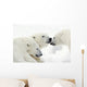 Polar Bears Wall Mural