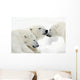 Polar Bears Wall Mural