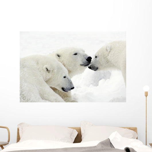 Polar Bears Wall Mural