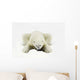 Polar Bear Wall Mural