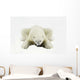 Polar Bear Wall Mural