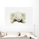 Polar Bear Wall Mural