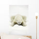 Polar Bear Wall Mural