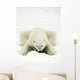 Polar Bear Wall Mural