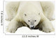 Polar Bear Wall Mural