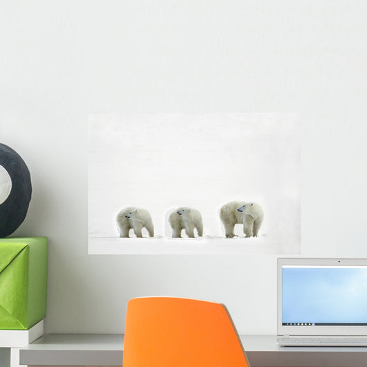 Polar Bears Looking Over Their Shoulders Wall Decal