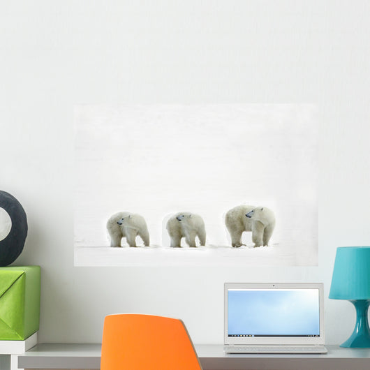 Polar Bears Looking Over Their Shoulders Wall Decal