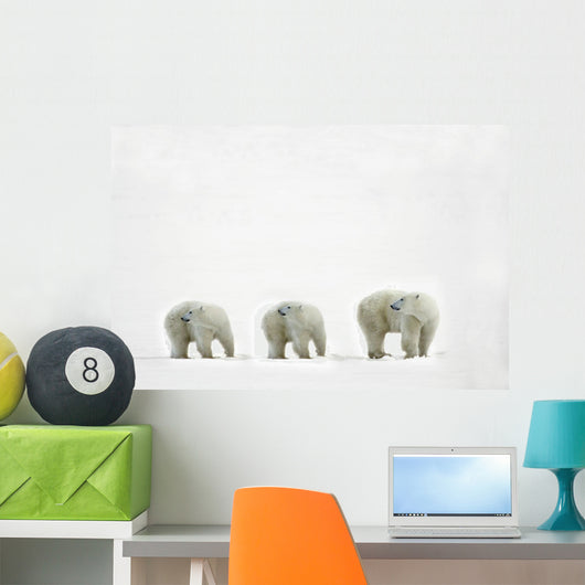 Polar Bears Looking Over Their Shoulders Wall Decal