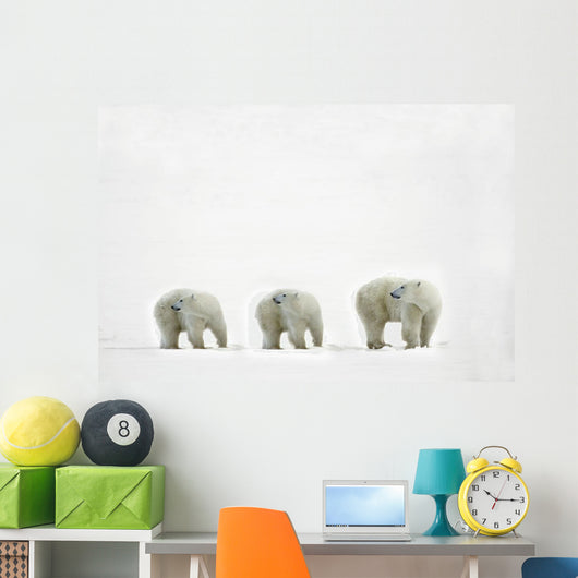 Polar Bears Looking Over Their Shoulders Wall Decal