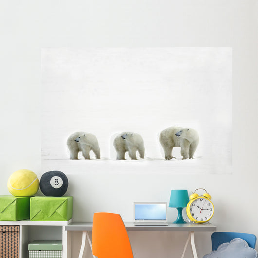 Polar Bears Looking Over Their Shoulders Wall Decal