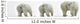 Polar Bears Looking Over Their Shoulders Wall Decal