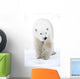 Polar Bear Walking Wall Mural
