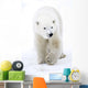 Polar Bear Walking Wall Mural