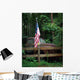 Old Us Wall Mural