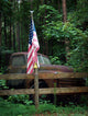 Old Us Wall Mural
