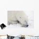 Sleeping Polar Bear Wall Mural