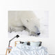 Sleeping Polar Bear Wall Mural