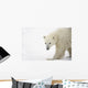 Polar Bear Wall Mural