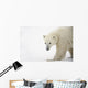 Polar Bear Wall Mural