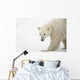 Polar Bear Wall Mural