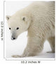 Polar Bear Wall Mural