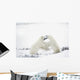 Polar Bears Fighting Wall Mural