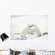 Polar Bears Fighting Wall Mural