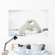 Polar Bears Fighting Wall Mural