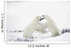 Polar Bears Fighting Wall Mural