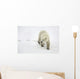 Polar Bear Walking Wall Mural