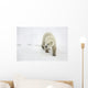 Polar Bear Walking Wall Mural