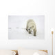 Polar Bear Walking Wall Mural