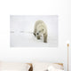 Polar Bear Walking Wall Mural