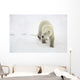 Polar Bear Walking Wall Mural