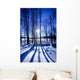 Elk Island National Park, Alberta, Canada Wall Mural