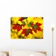 Leaves In Autumn Wall Mural