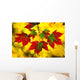 Leaves In Autumn Wall Mural