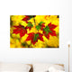 Leaves In Autumn Wall Mural