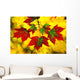 Leaves In Autumn Wall Mural