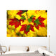 Leaves In Autumn Wall Mural