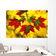 Leaves In Autumn Wall Mural