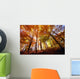 Trees In Autumn Wall Mural