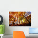 Trees In Autumn Wall Mural