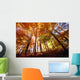 Trees In Autumn Wall Mural