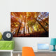 Trees In Autumn Wall Mural